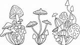 Trippy Outline Mushrooms Sketches Creativemarket sketch template