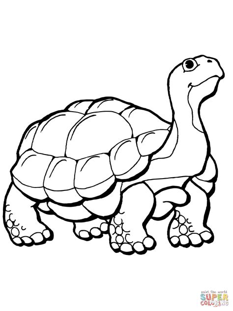 tortoise coloring pages coloring home
