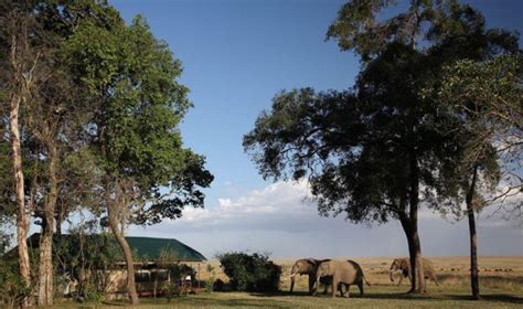 Governors Camp African Safari Consultants
