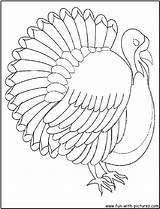 Coloring Turkey Thanksgiving Body Page4 Pages Fun Color Getdrawings sketch template