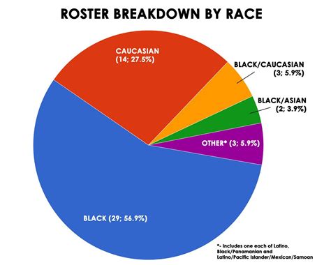 american race demographics pie chart