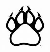 Paw Outline Cougar Panther Clipart Prints sketch template