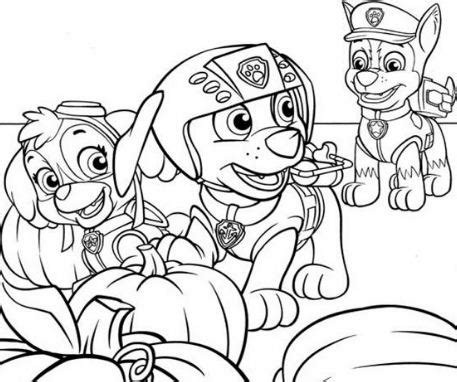 top paw patrol mask coloring pages