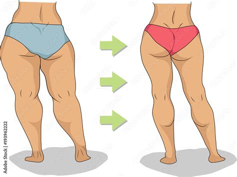 butt  legs  thick  slim woman stock vector adobe stock