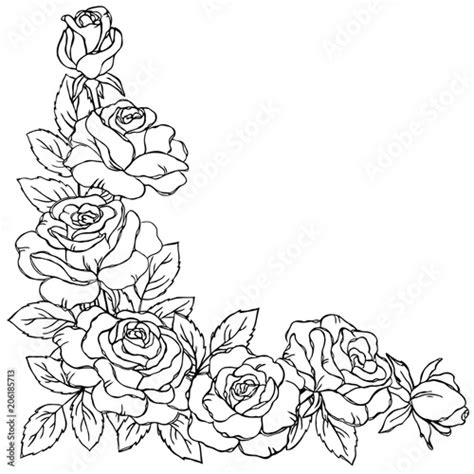 vector contour rose flowers bud leaf branch coloring book pattern