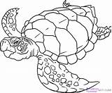 Coloring Sea Leatherback Turtle Pages Getcolorings sketch template