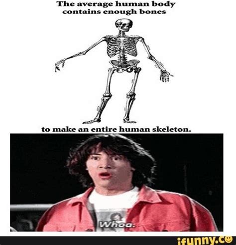 the average human body contains enough bones ifunny human body