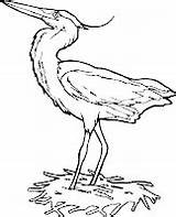 Colorat Planse Pasari P40 Uccelli Cicogna Vogel Verschiedene Animali Pasarele Imagini Heron Primiiani Copii Condividi Voturi Vizite Desene Reed Alicia sketch template