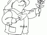 paddington bear coloring pages  kids bear coloring pages coloring