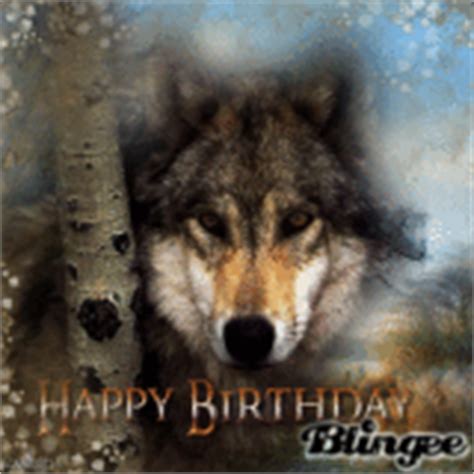 happy birthday wolf pictures p    blingeecom