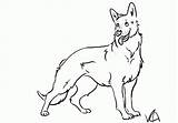 Shepherd German Coloring Pages Dog Drawing Line Print Shepard Puppy Kids Drawings Color Printable Shepherds Puppies Dogs Sheets Animal Animals sketch template