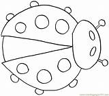Insects Ladybugs sketch template