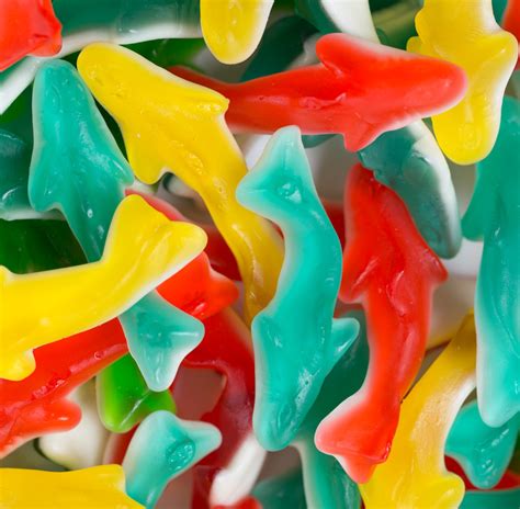 gummy sharks assorted mini chewy candies   sea theme
