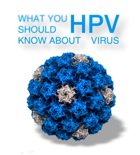 human papilloma virus hpv