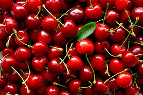 cherie cherie  impressive health benefits  turkeys cherries