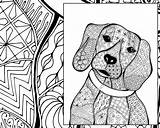 Zentangle Dog Animal Colouring Drawing Coloring Beagle Sheet Drawings Getdrawings Pdf sketch template