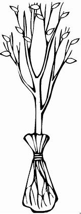 Baum Kahler Blumen Malvorlage Titel Malvorlagen sketch template