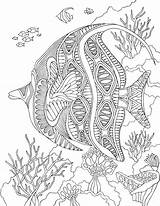 Mandala Angelfish Mandalas Ausmalbilder Coloriage Erwachsene Animaux Zentangle Sheets Delfin Italks Mangala Dificiles Doodle Malvorlagen Colorier Laminas Adultos Auswählen Adulte sketch template