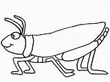 Grasshopper Praying Mantis Clipartmag sketch template