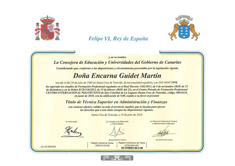 tecnico superior en administracion  finanzas formacion cip tu centro de estudios en canarias