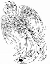 Phoenix Coloring Pages Harry Potter Bird Dragon sketch template