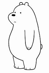 Osos Curso Ursos Orso Polar Orsi Ours Polaire Cartonionline sketch template