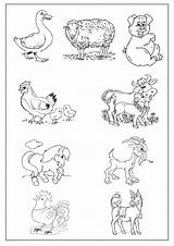 Ferme Coloriages Dessiner Dessins Lapin sketch template