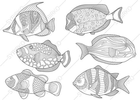 coloring pages  adults tropical fishes adult coloring pages sea