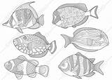 Zentangle Pesci Adults Fishes Stylized sketch template
