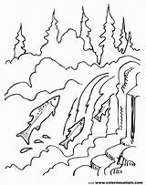 Coloring Pages Salmon Waterfall Jumping Fish Chinook Warhol Auburn Getdrawings Color Getcolorings Drawing Coloringbay Kids Printable Colorings Nature Landscape Popular sketch template