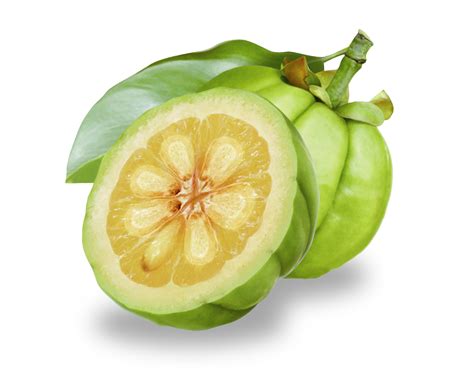 garcinia cambogia nexira ingredients network