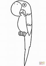Papegaai Papuga Pappagallo Parrot Papagei Kolorowanka Ausmalbild Kolorowanki Kleurplaten Papegaaien Pappagalli Disegnare Stampare Dzieci Druku sketch template