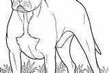 Coloring Pages Boxer Dog Tall Standing sketch template
