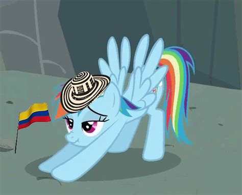 [image 402757] i want to cum inside rainbow dash know your meme