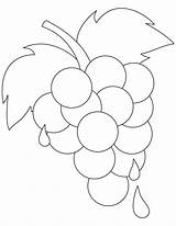 Grapes Coloring Pages Grape Kids Vine Ripe Printable Color Fresh Colouring Template Sheets Leaf Bestcoloringpages Getcolorings Fruit Books Outline Pattern sketch template