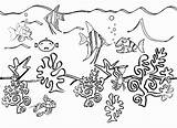 Ocean Coloring Drawing Sea Pages Underwater Plants Floor Ecosystem Creatures Clipart Animals Life Scenes Drawings Seaweed Beach Pencil Fish Drawn sketch template