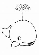 Whale Coloring Cute Baby Water Killer Drawing Blue Color Beluga Spouting Kids Whales Pages Outline Clipart Cartoon Cliparts Spurting Clip sketch template