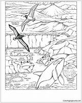 Leopard Coloring Seal Pages Color Race South Getcolorings Pole sketch template
