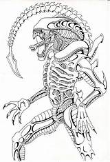 Xenomorph Pages Drawing Coloring Alien Deviantart Predator Comission Drawings Vs Aliens Template Sketch Stuff Movie Queen Printable Draw Scary Adult sketch template