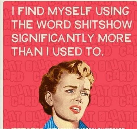 Pin By Valarie Lucas On Feisty Work Humor Retro Humor Funny Quotes