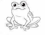 Frog Coloring Prince Frogs Charming sketch template