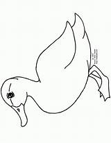 Inkleur Prentjies Ducks Mallard Swimming Doodle Schritt Zeichnen sketch template
