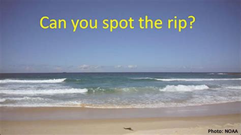 Things To Know For Summer How To Avoid Survive Rip Current