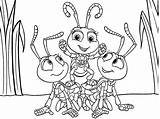 Colorear Hormigas Bichos Miniatura Imprima Descargue Fáciles Insectos sketch template