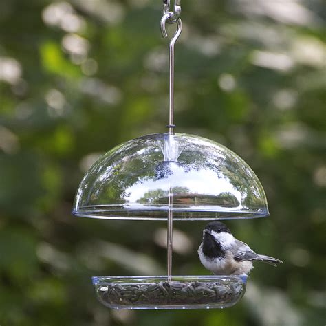 cutest chickadee feeder  droll yankees   ideal sized bird feeder  small spaces