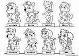 Paw Patrol Coloring Pages Tracker Printable Getcolorings Color sketch template
