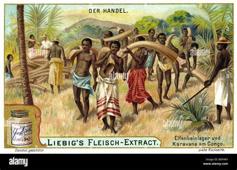 handel kolonialismus handel mit elfenbein afrika sammlung karte von liebig fleisch extract