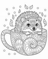 Coloring Mandala Pages Hedgehog Animal Mandalas Adults Color раскраски Print Cup Printable Adult Colouring Zentangle Sheets Relaxing Book sketch template