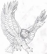 Eagle Coloring Bald Pages Flying Color Kids Drawing Realistic Soaring Printable Sketch Template Mandala Adults Head Eagles Drawings Line Harpy sketch template