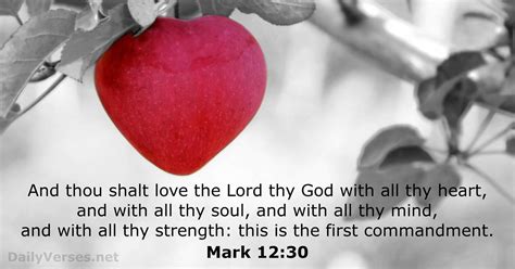 mark  bible verse kjv dailyversesnet